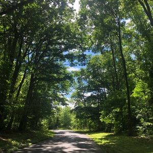 Meet your Posher, Rosa